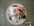 Porcelaine ROY KIRKHAM : Rose Redout� - Boutique cadeaux : la vaisselle - BURDET SALON DE THE