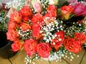 Des promotions chaque semaine - Une professionnelle des fleurs et des plantes - ISABELLE FLEURS