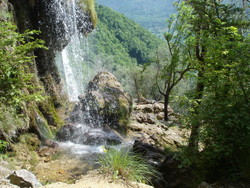 DSC03190.JPG