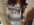 ANTIGEL -  - HYPNOSE - Lingerie fine