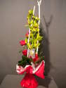 BOUQUET BULLE DE CYMBIDIUM EN HAUTEUR 
