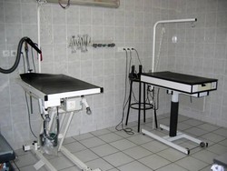 LES SALLES DE TOILETTAGE - Le Salon - PASSION CANINE