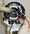 D�montage cplt inducteur moteur robot kitchenAid artisan classic ultra power