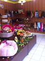 LE MAGASIN : tous les articles pour vos chiens