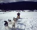 sortie weekend avec chien de traineau husky siberien - activite, evenement, animation,aliment chien chat - aux 4 pattes 38 - elevage de chiens husky - aliment et materiel canin