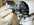 d�montage int�gral inducteur moteur robot  kitchenAid classic artisan ultra power