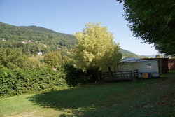 DSC01597.JPG