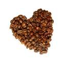 Nos caf�s Arabica pures origines du moment...