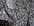 d�tail du tissu