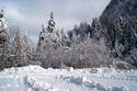 Activit�s hiver en Charteuse