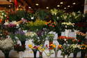 Fleurs coup�es - Bouquets ronds - Compositions - Plantes vertes et  - ISABELLE FLEURS