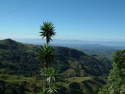 fun......costa rica... - impressions de voyage...pour le fun.!..  - BOUTIQUE ROSE PALE