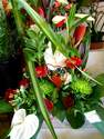 Compositions de fleurs - Bouquets ronds - Compositions - Plantes vertes et  - ISABELLE FLEURS
