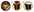 Bandeau-logo-etape capsul-in.jpg