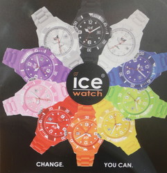ice watch.JPG