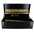 LISSEUR CORIOLISS C3 GOLD LEOPARD 235� - Fer � lisser - CEZARD COIFFURE