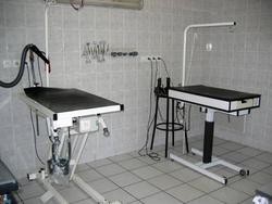 Moyens p�dagogiques de l'�cole de toilettage - SALON - PASSION CANINE