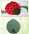 coccinelle.jpg