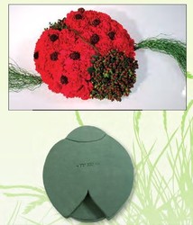coccinelle.jpg