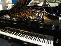 Vente piano occasion Bl�thner - Notre s�lection pianos occasion:Yamaha,Sauter,Bechstein,etc. - ART & PIANO - Patrick BLERIOT