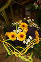 Bouquets ronds - Compositions - Plantes vertes et 