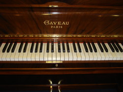 clavier ivoire