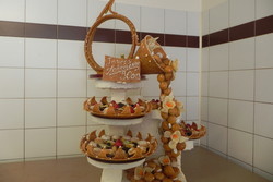DSCN0479.JPG