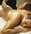 gommage corps annie duo beaut�