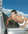 Pr�paration sportive  power plate