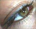 RELOOKING TOTALE  HARMONIE 