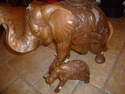 BEBE ELEPHANT