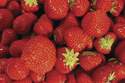 Pour en savoir plus sur les fraises de W�pion - PRODUITS WALLONS  - Shopping-on-line.fr