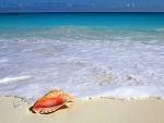 Thalasso visage Annie duo beaut�