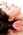 Soin BIO  annie duo beaut�