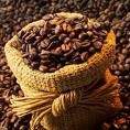 ROBUSTA