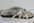 chaussures 012.jpg