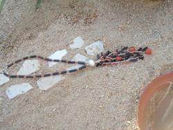 DSCF1298.JPG