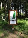 Trou n� 3 - PARCOURS - course - GOLF  :  LE  GOLF DES SARRAYS  (Indre-36100)    Tel :  02. 54 49. 54 49