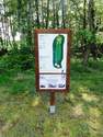 Trou n�5 - PARCOURS - course - GOLF  :  LE  GOLF DES SARRAYS  (Indre-36100)    Tel :  02. 54 49. 54 49