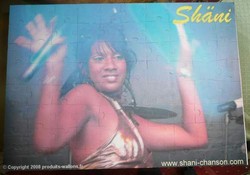 Puzzle Sh�ni grand mod�le - Sh�ni Boutique officielle  - Shopping-on-line.fr