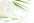 Peeling Annie duo beaut�