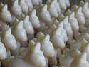 Le savon au lait d'�nesse en forme d'�ne 150 g 