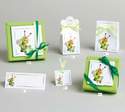 COLLECTION LIBELLULE