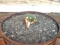 bague or tourmaline verte 