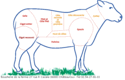 La viande d'agneau