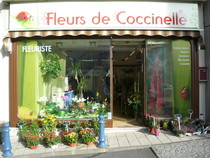 FLEURS DE COCCINELLE