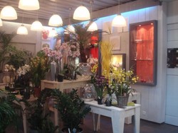magasin