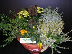 COUPE DE PLANTES - DEUIL - Les Jardins de Saint Pierre