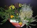 COUPE DE PLANTES