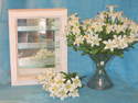 Vitrine - LE PETIT MOBILIER - MYRTILLE